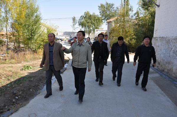 学院领导视察帮扶村项目验收