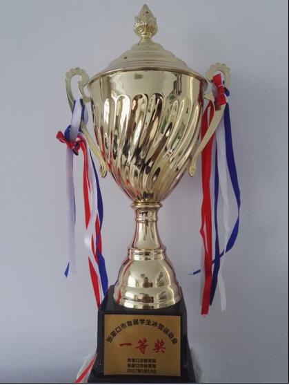 【喜讯】beat365官网学子在张家口市首届冰雪运动会上喜获佳绩