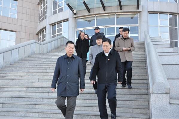 陈冲副市长一行到beat365官方网站调研