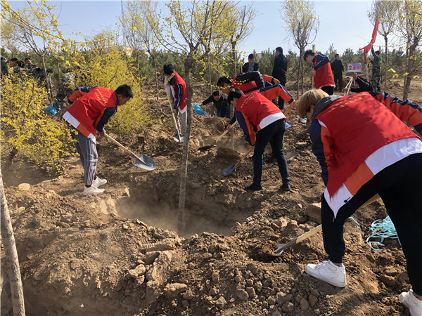 beat365官网各系部相继开展团学及志愿者活动